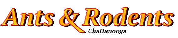 Chattanooga Ant Exterminator & Rodent Control Company Logo